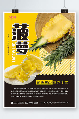 绿色生态新鲜菠萝水果海报
