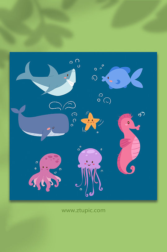手绘海洋海底动物生物元素插画