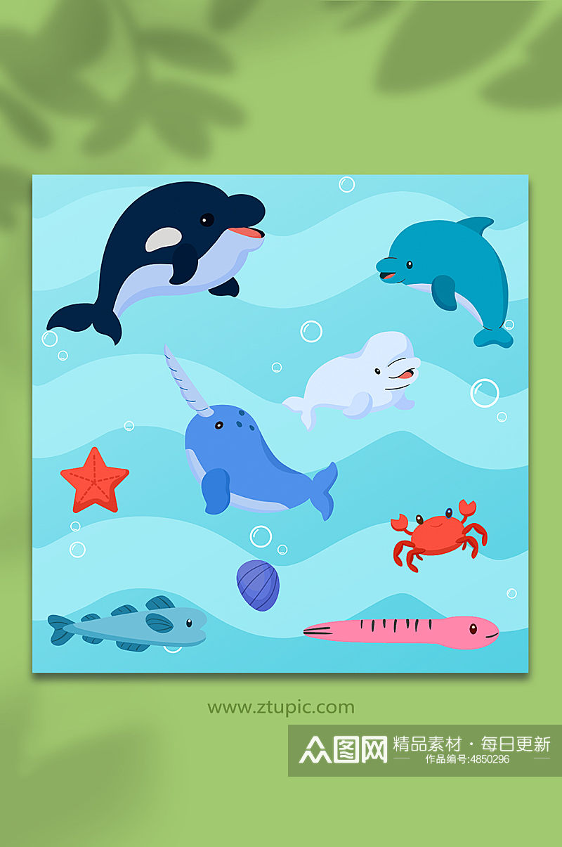矢量海洋海底动物生物元素插画素材