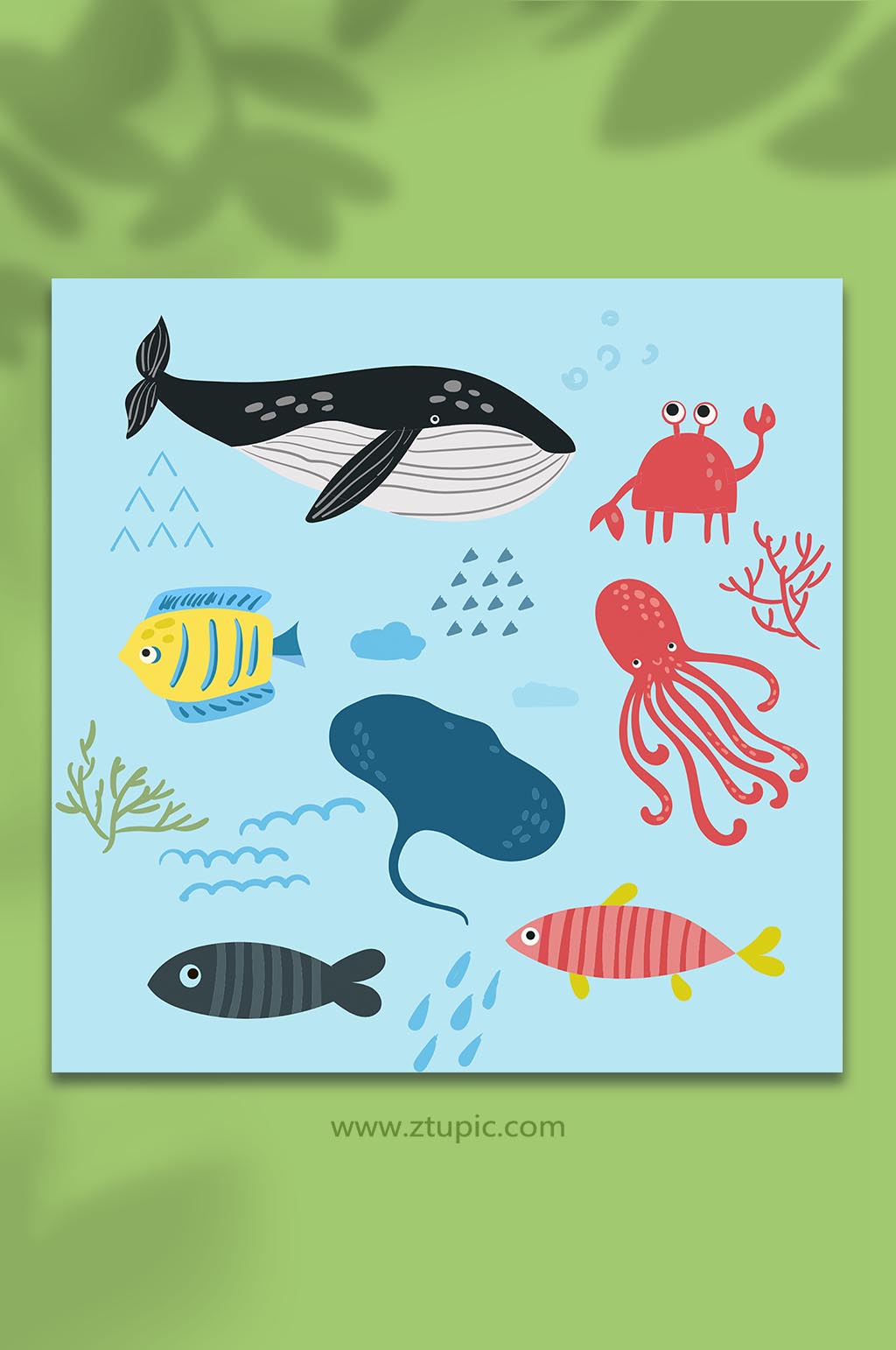 矢量海洋海底动物生物元素插画素材