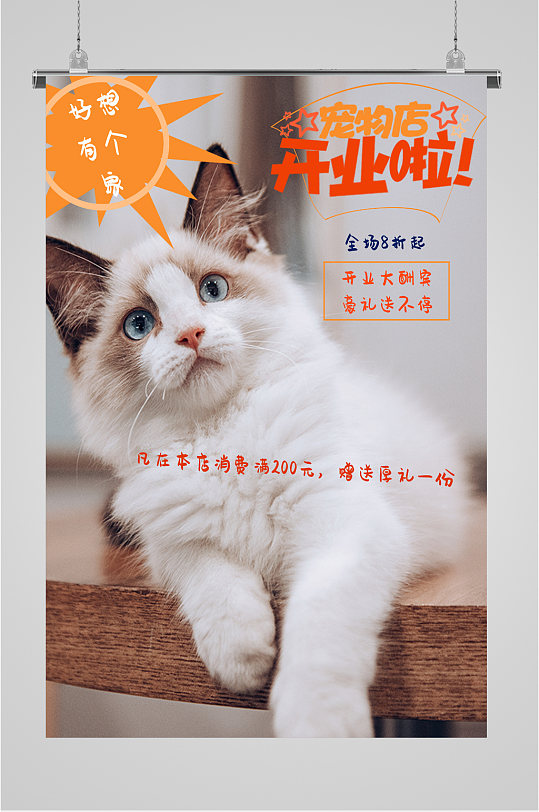 可爱宠物店开业海报
