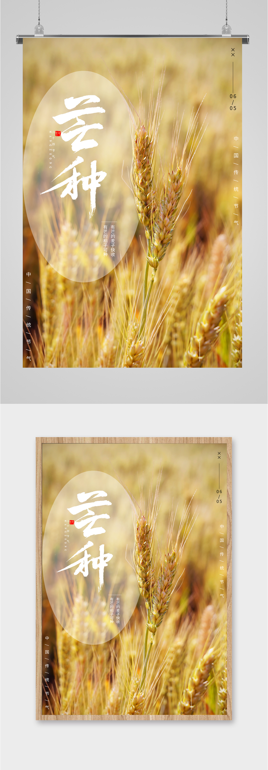 芒种节气小麦插画海报素材