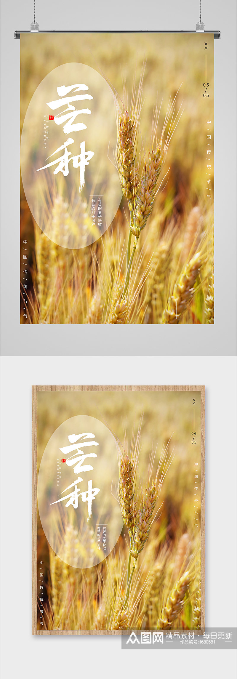 芒种节气小麦插画海报素材