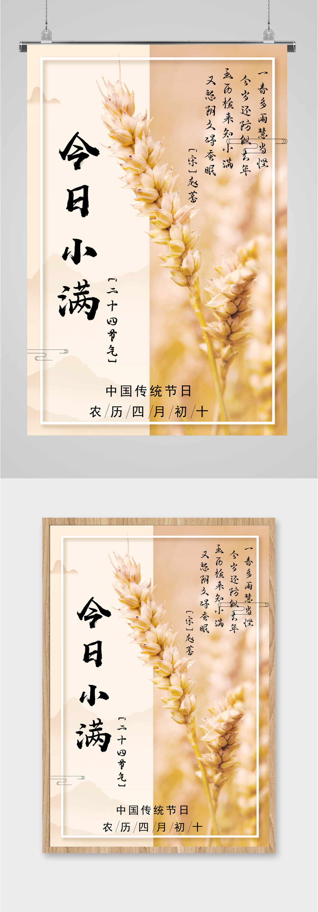 小满节气麦穗简约海报素材