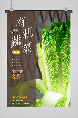 有机蔬菜食品海报