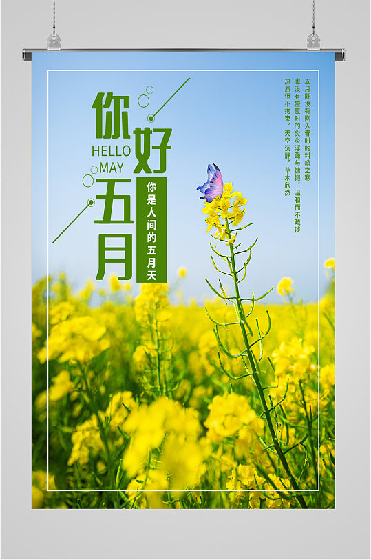 立即下载唯美樱花海边风景cg插画春天你好立即下载五月你好粉色海报