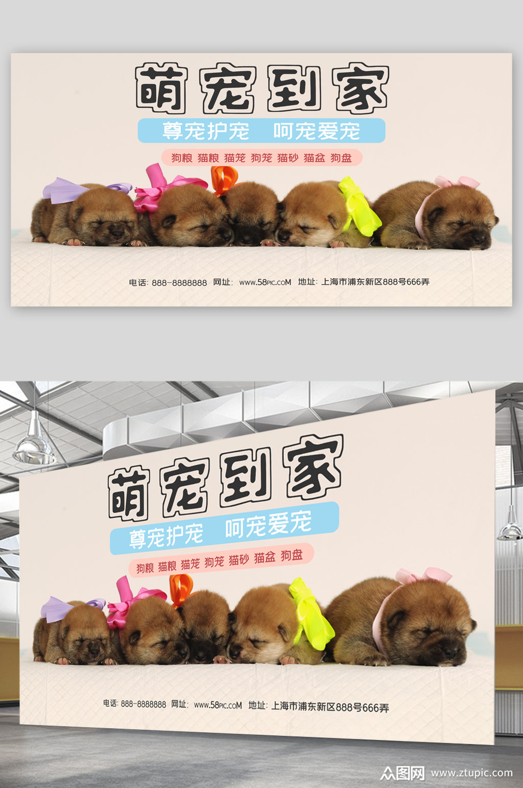宠物之家萌宠宠物店展板