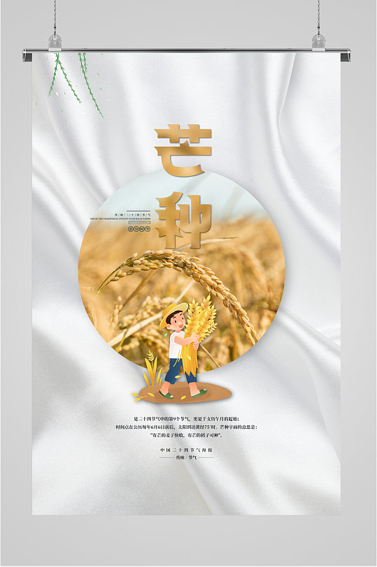 芒种节气小麦插画海报
