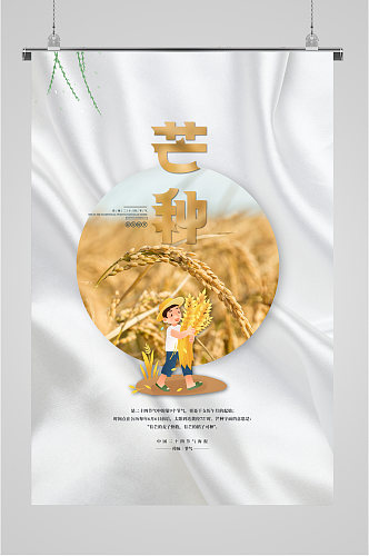 芒种节气小麦插画海报