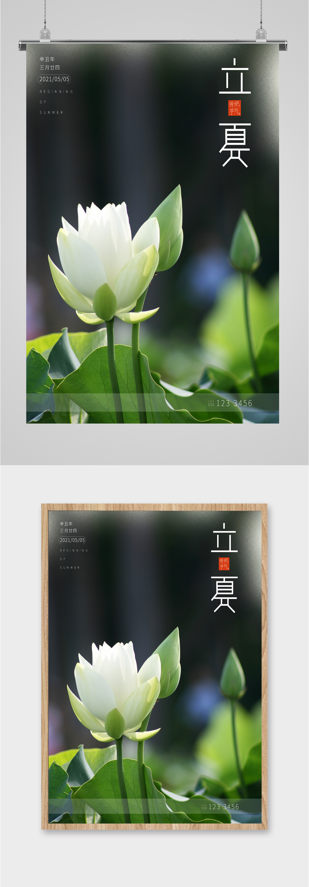 立夏节气简约绿植海报素材