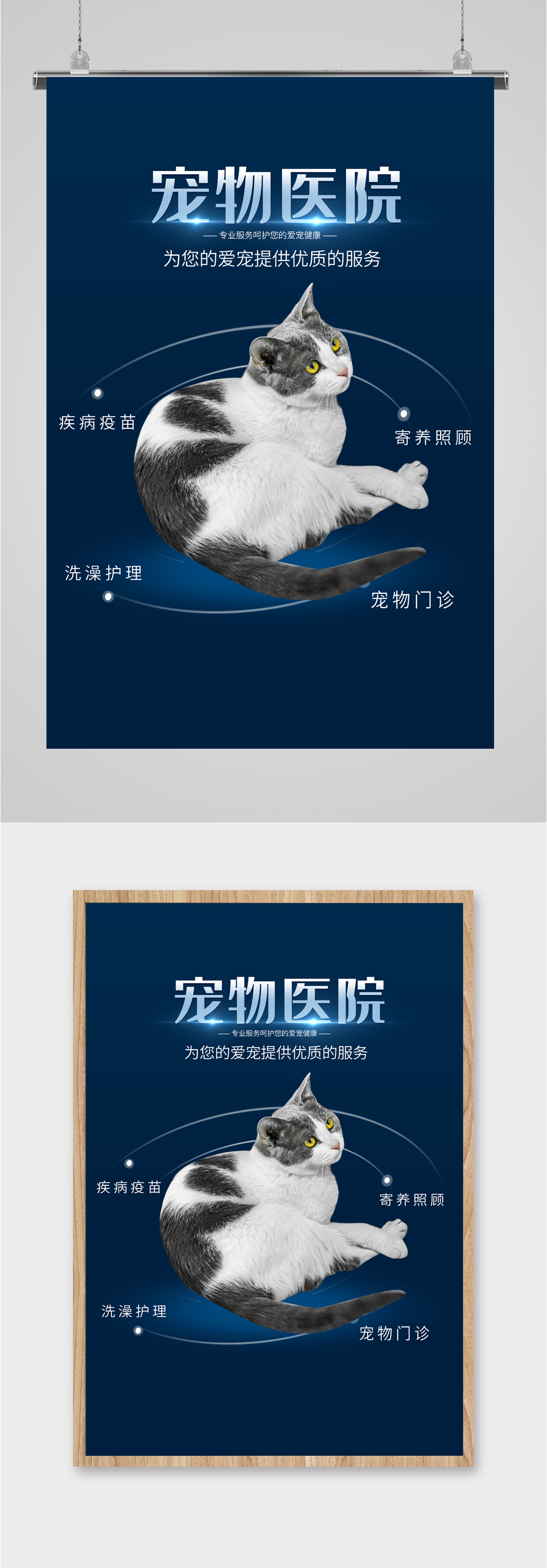 宠物医院宣传海报素材