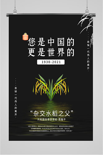 沉痛悼念杂交水稻之父袁隆平海报