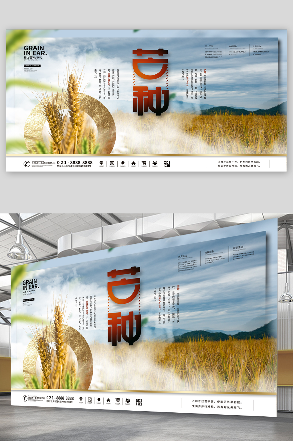 芒种节气麦田展板素材