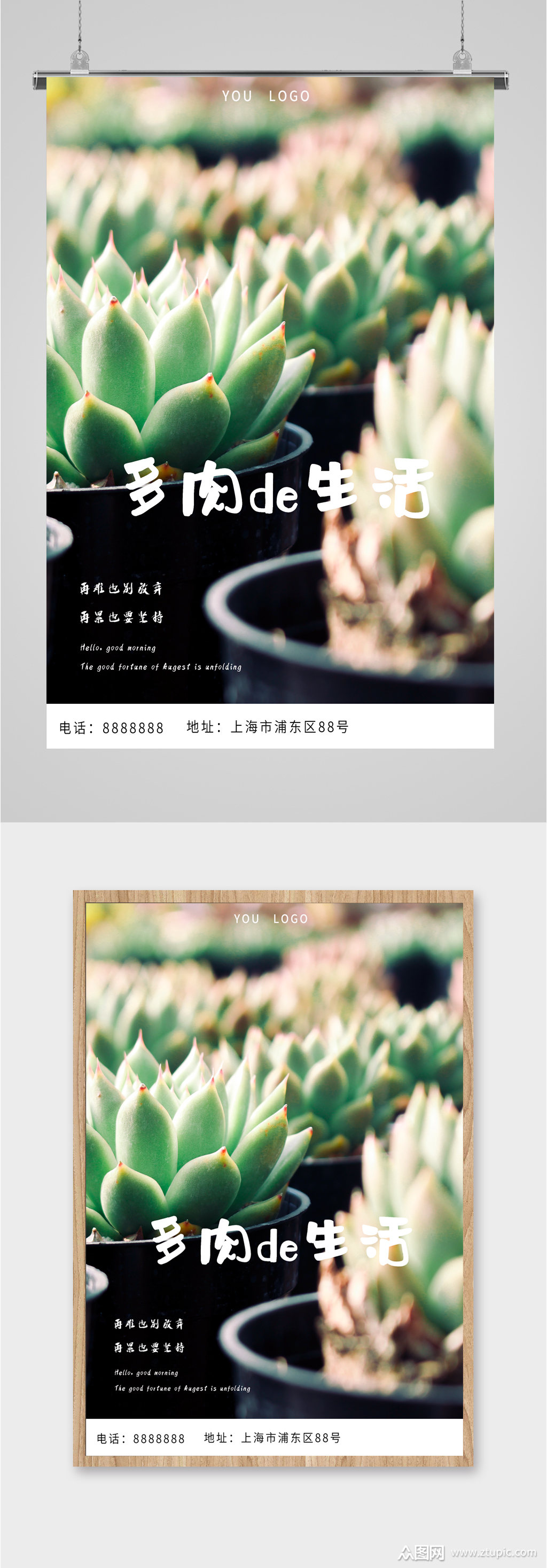 多肉植物宣传海报
