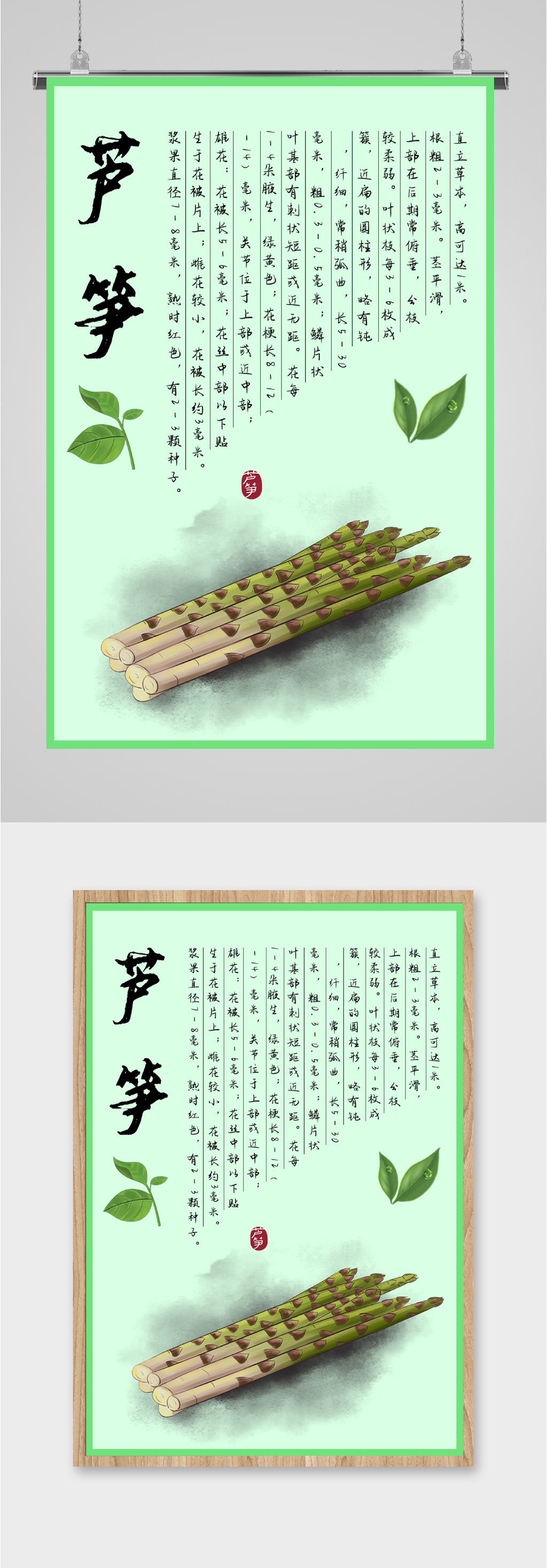 芦竹 用途图片