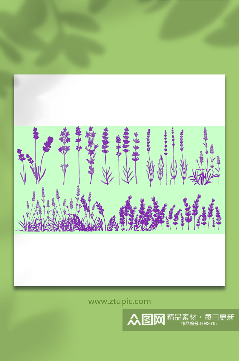紫色简约薰衣草免抠元素素材