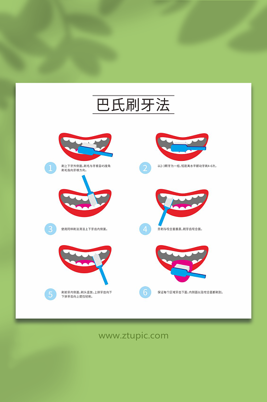 巴氏刷牙法清洁口腔刷牙方式科普插画