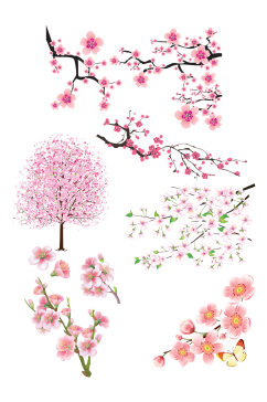 樱花花朵樱花树素材