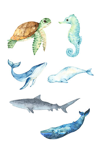 水彩海洋动物素材