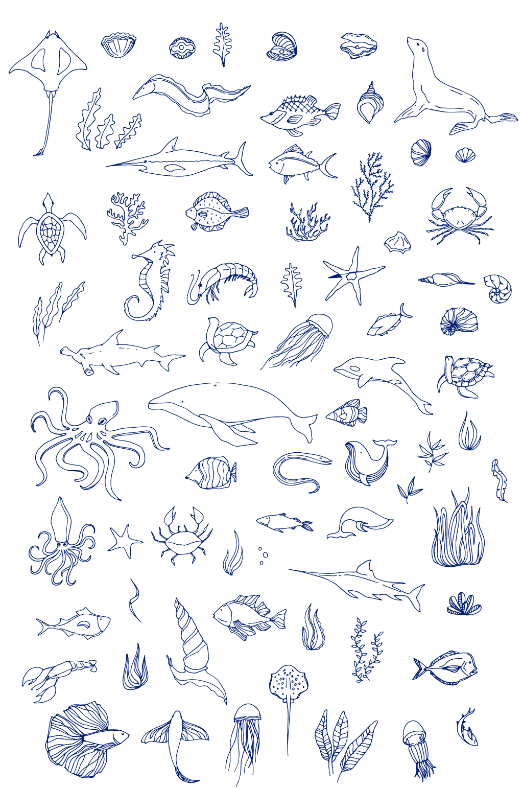 大型海洋生物简笔画图片