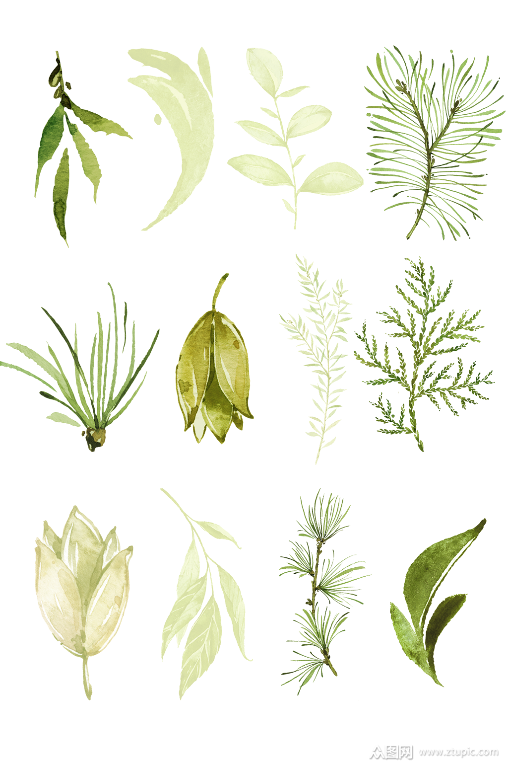 水彩绿色植物树叶花蕾素材