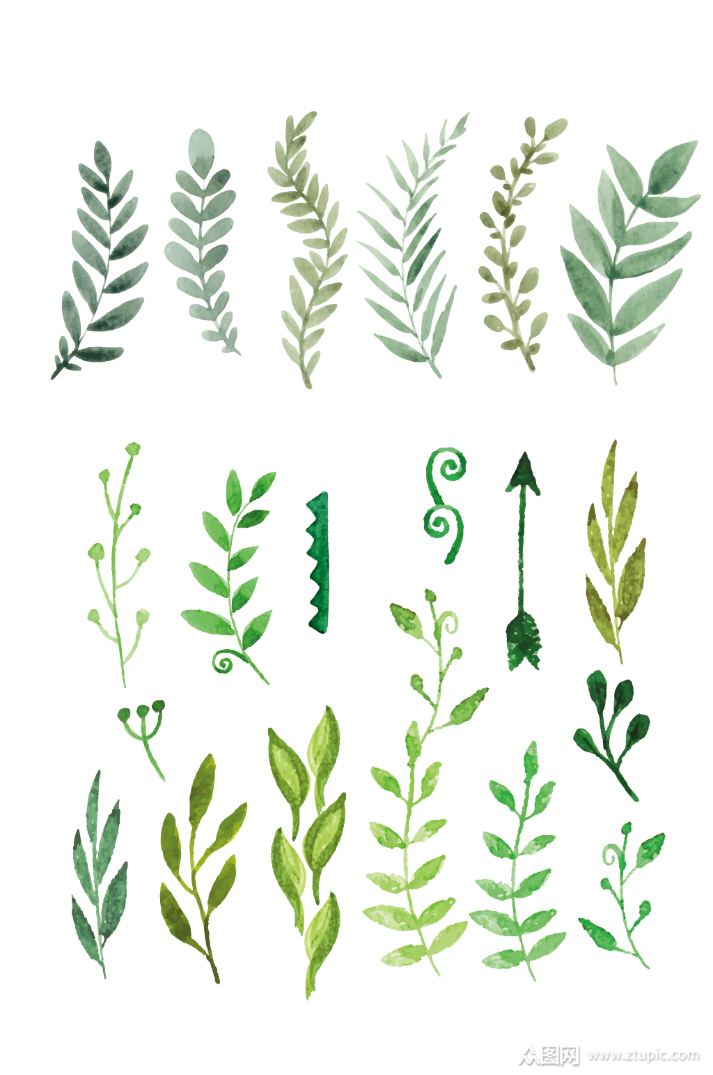 森系水彩绿色树枝树叶素材
