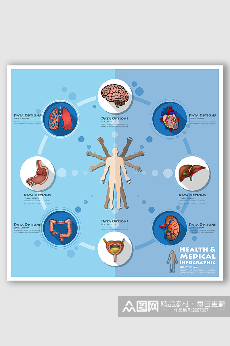 人体内脏健康医学信息图素材