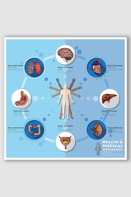 人体内脏健康医学信息图