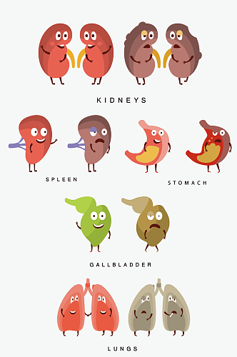 卡通形象内脏器官素材