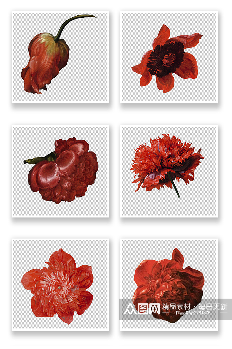 红色花朵花卉素材素材