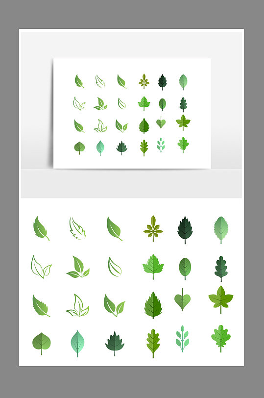 树叶叶子植物矢量元素