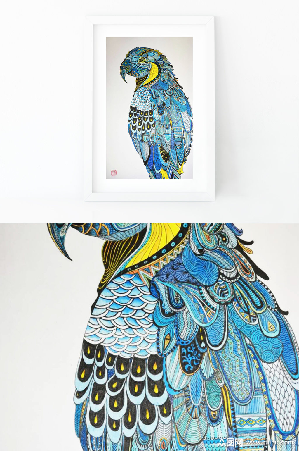 原创手绘装饰画蓝鹦鹉