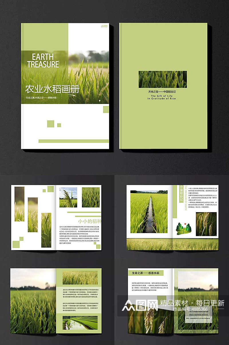 绿色农田大米水稻绿色农产品农业种植画册素材