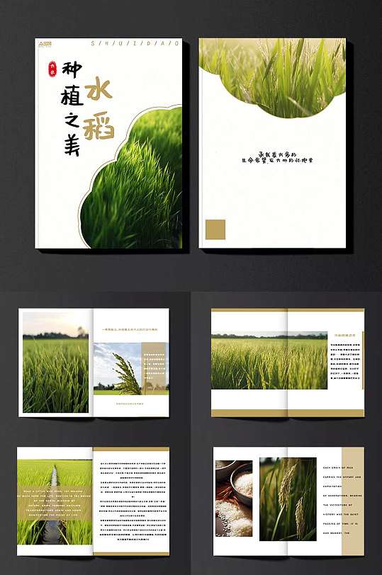 稻谷大米简约水稻绿色农产品农业种植画册