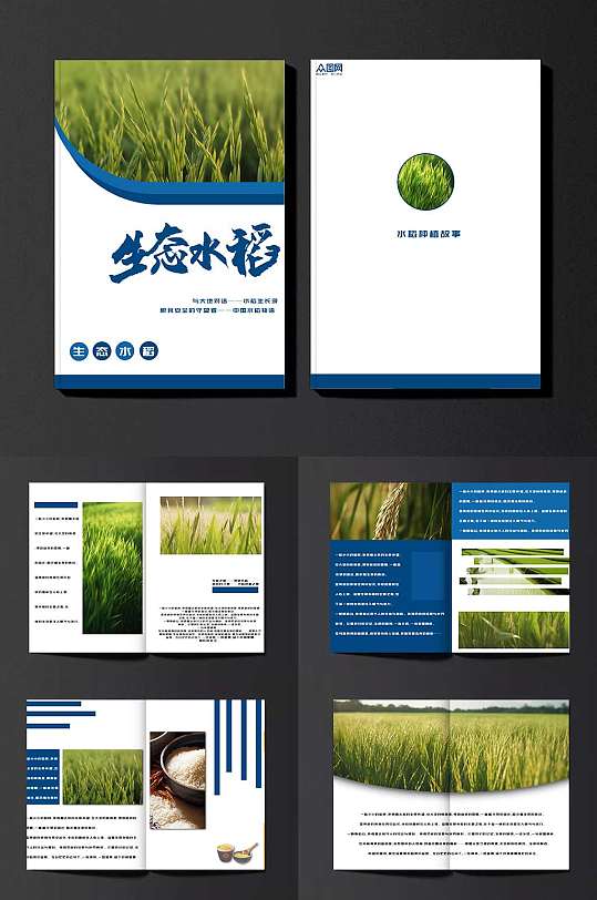 蓝色科技水稻绿色农产品农业种植画册