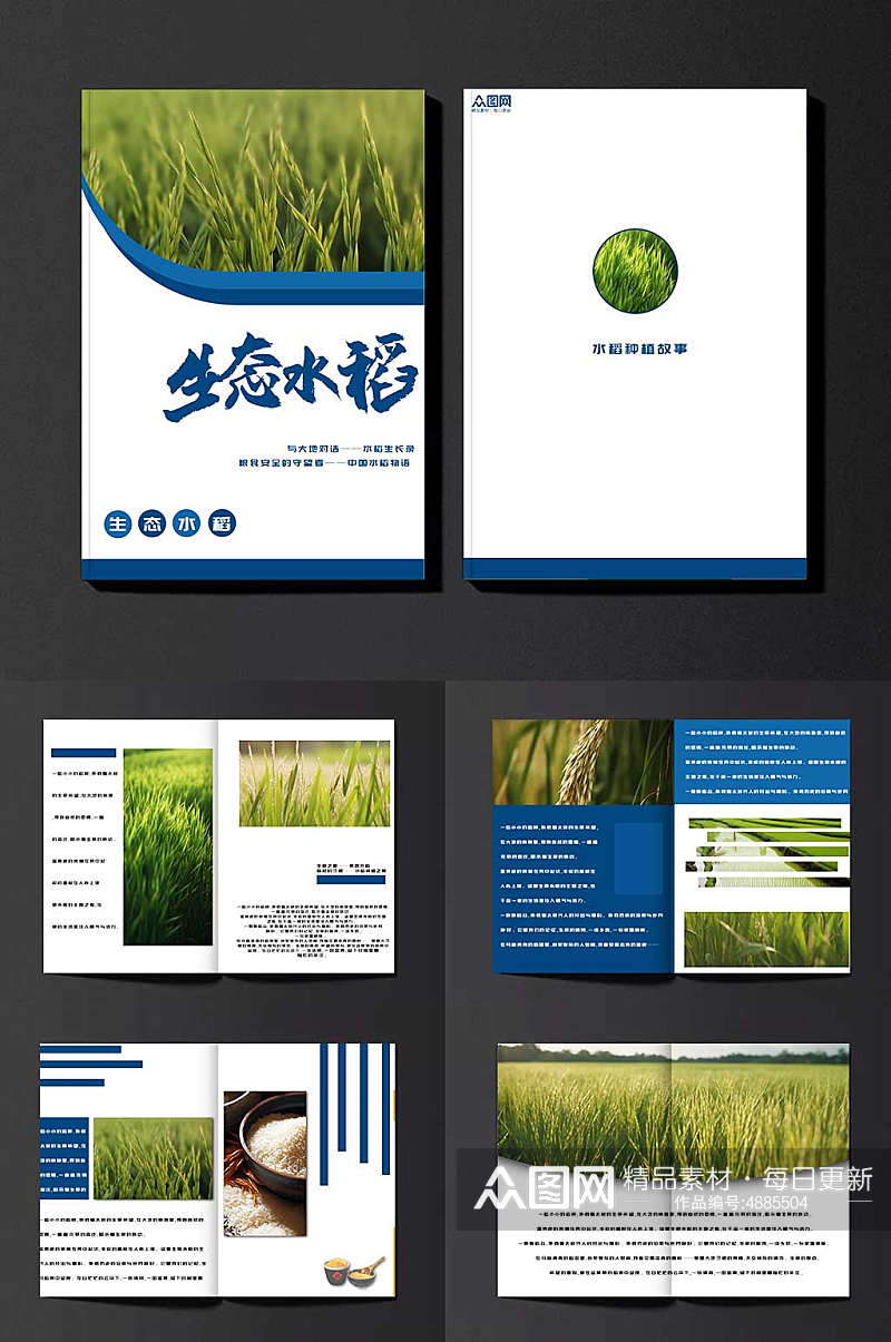 蓝色科技水稻绿色农产品农业种植画册素材