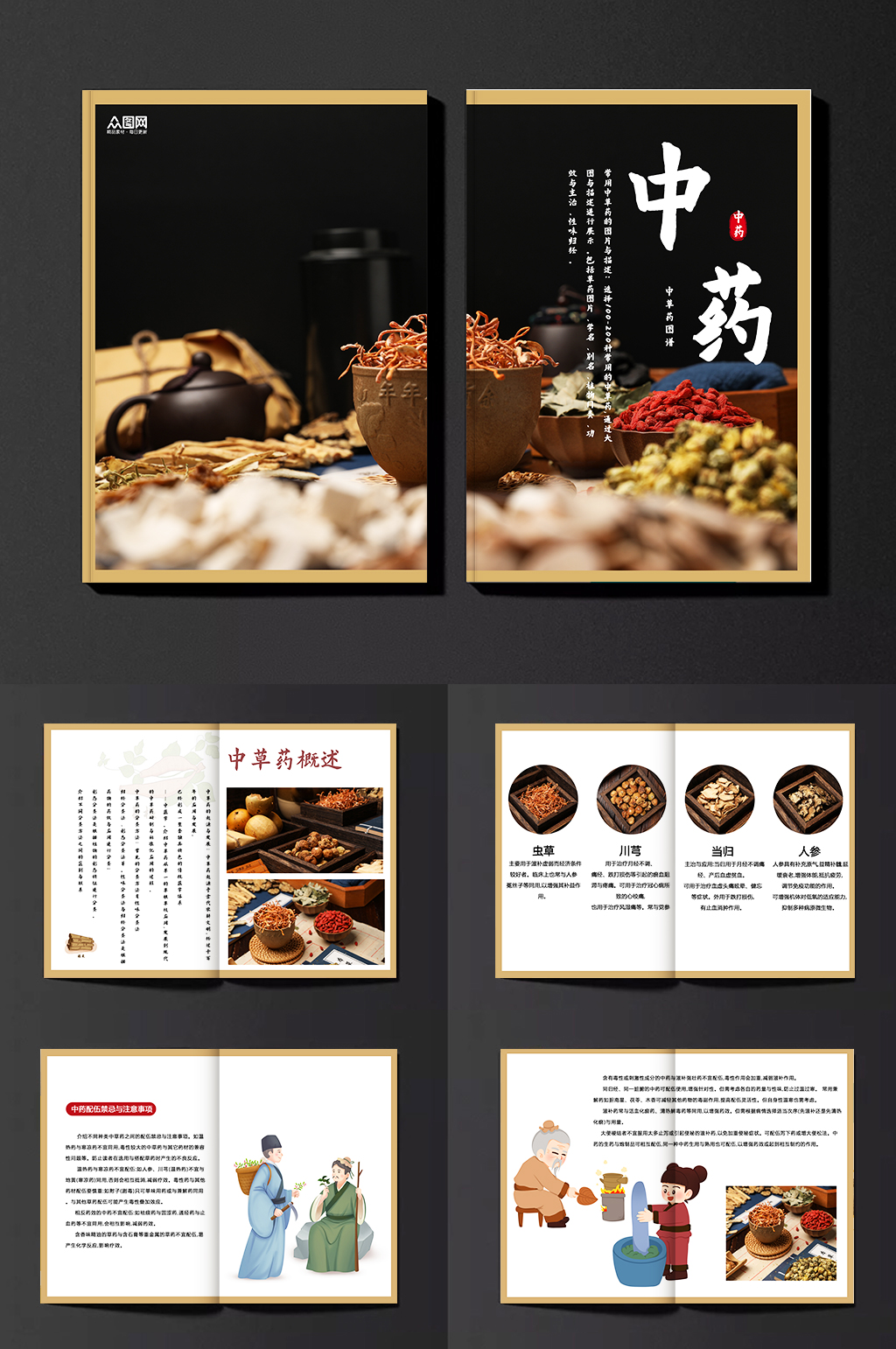 黑色中医中药药材介绍宣传画册素材