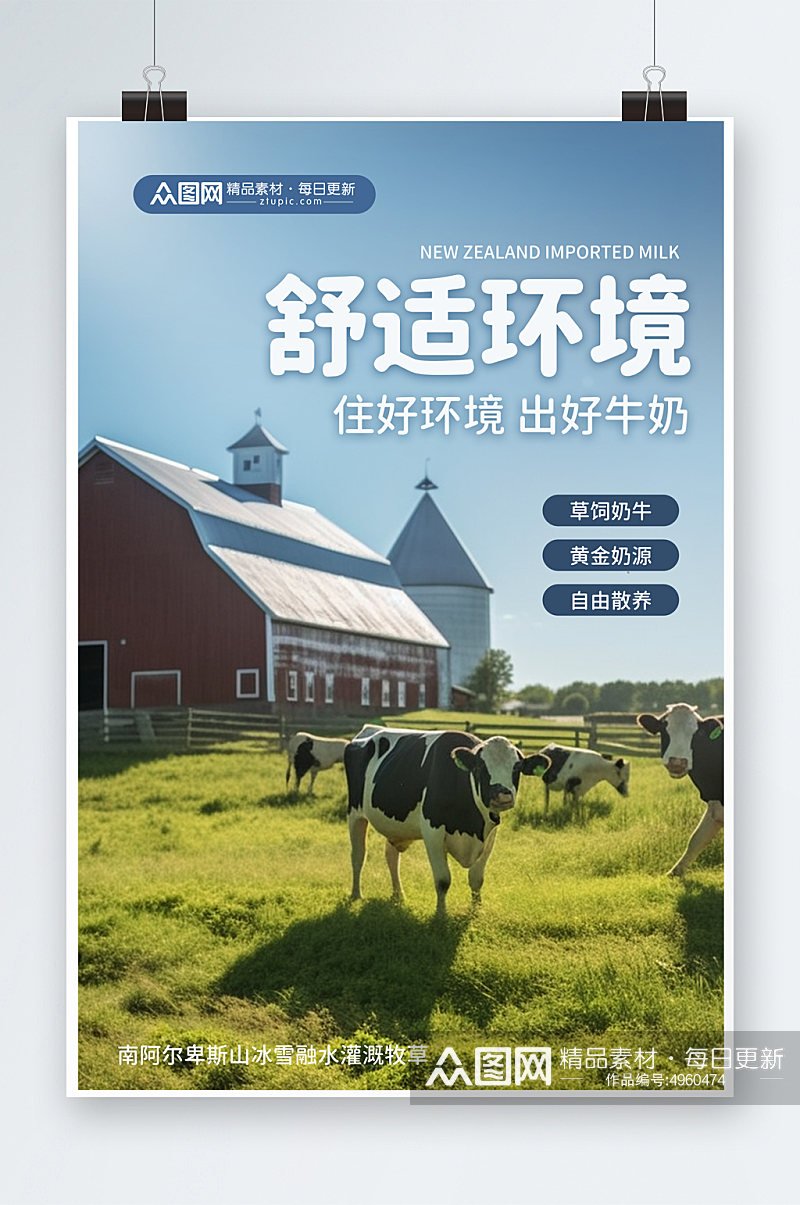 新西兰牛舍奶牛牧场牛奶海报素材