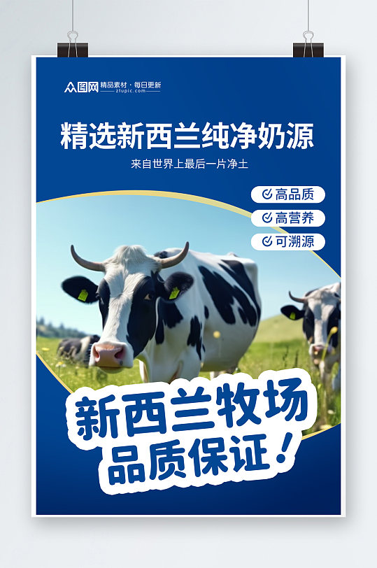 蓝金色新西兰奶牛牧场牛奶海报