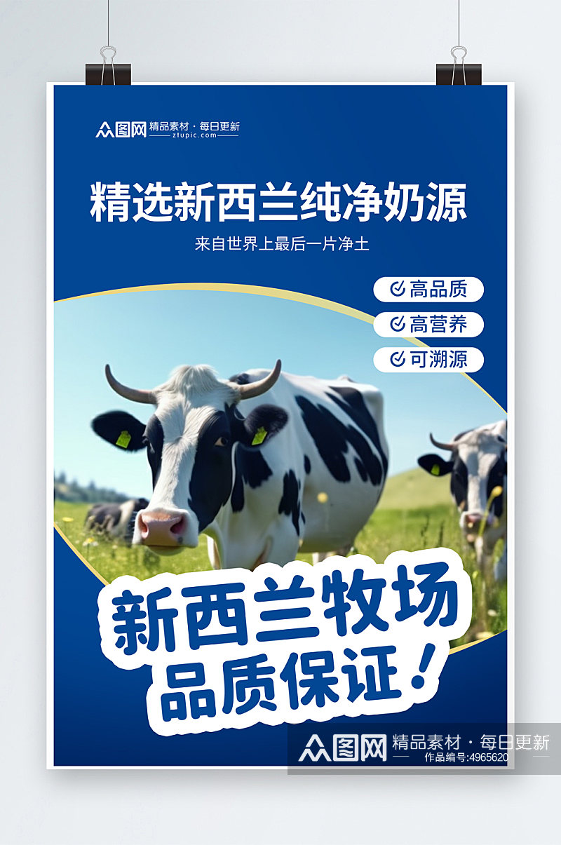 蓝金色新西兰奶牛牧场牛奶海报素材