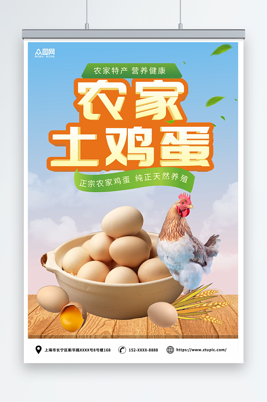 正宗农家土鸡蛋宣传海报