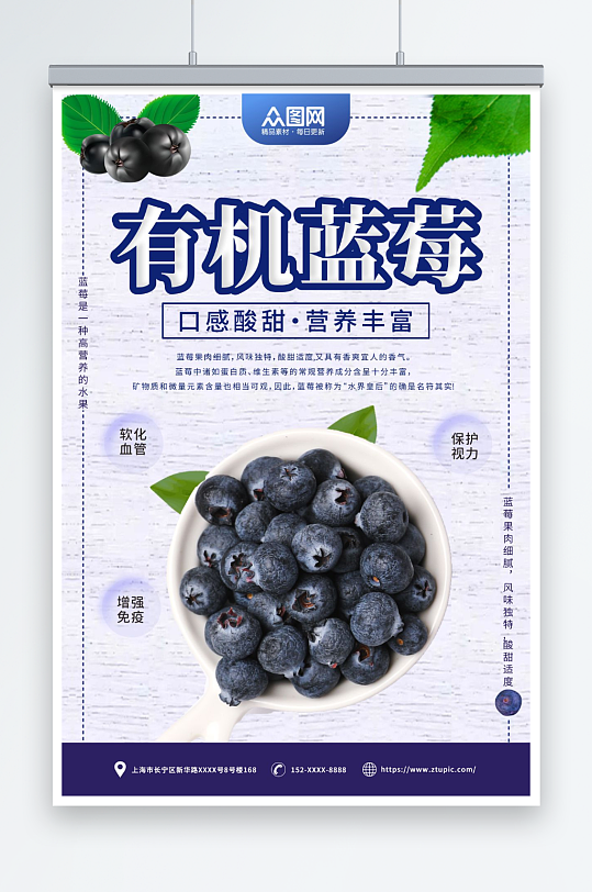 有机蓝莓水果店图片海报