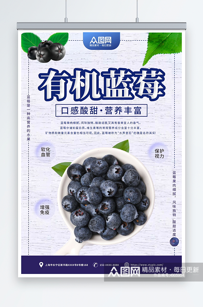 有机蓝莓水果店图片海报素材