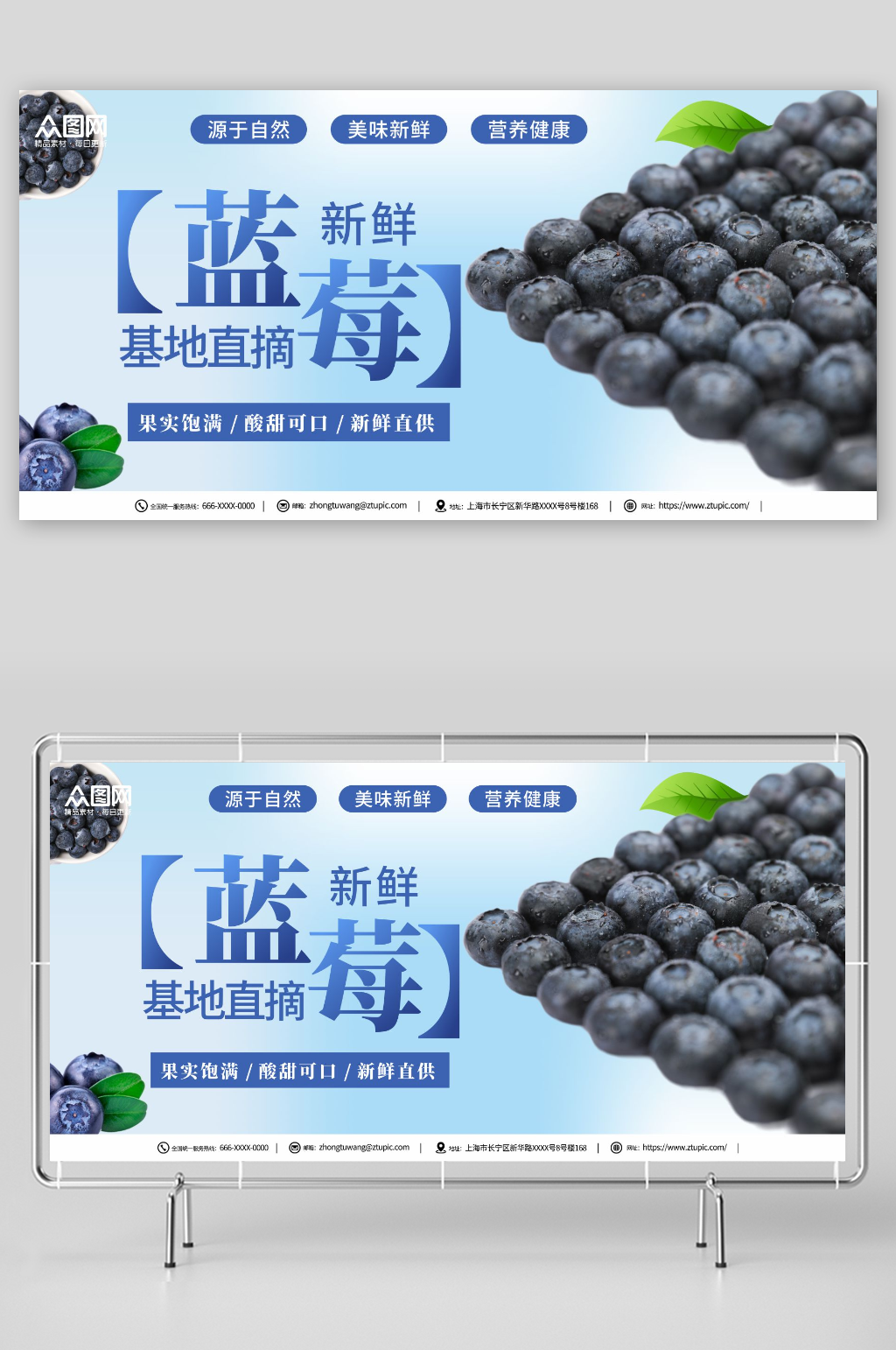 新鲜蓝莓水果店图片展板素材