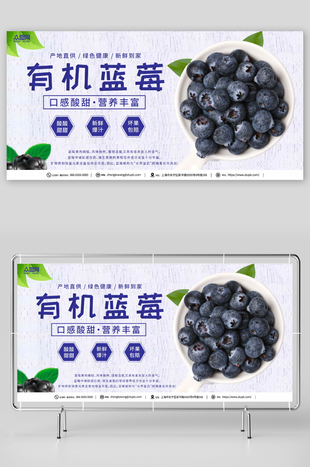 新鲜有机蓝莓水果店图片展板素材