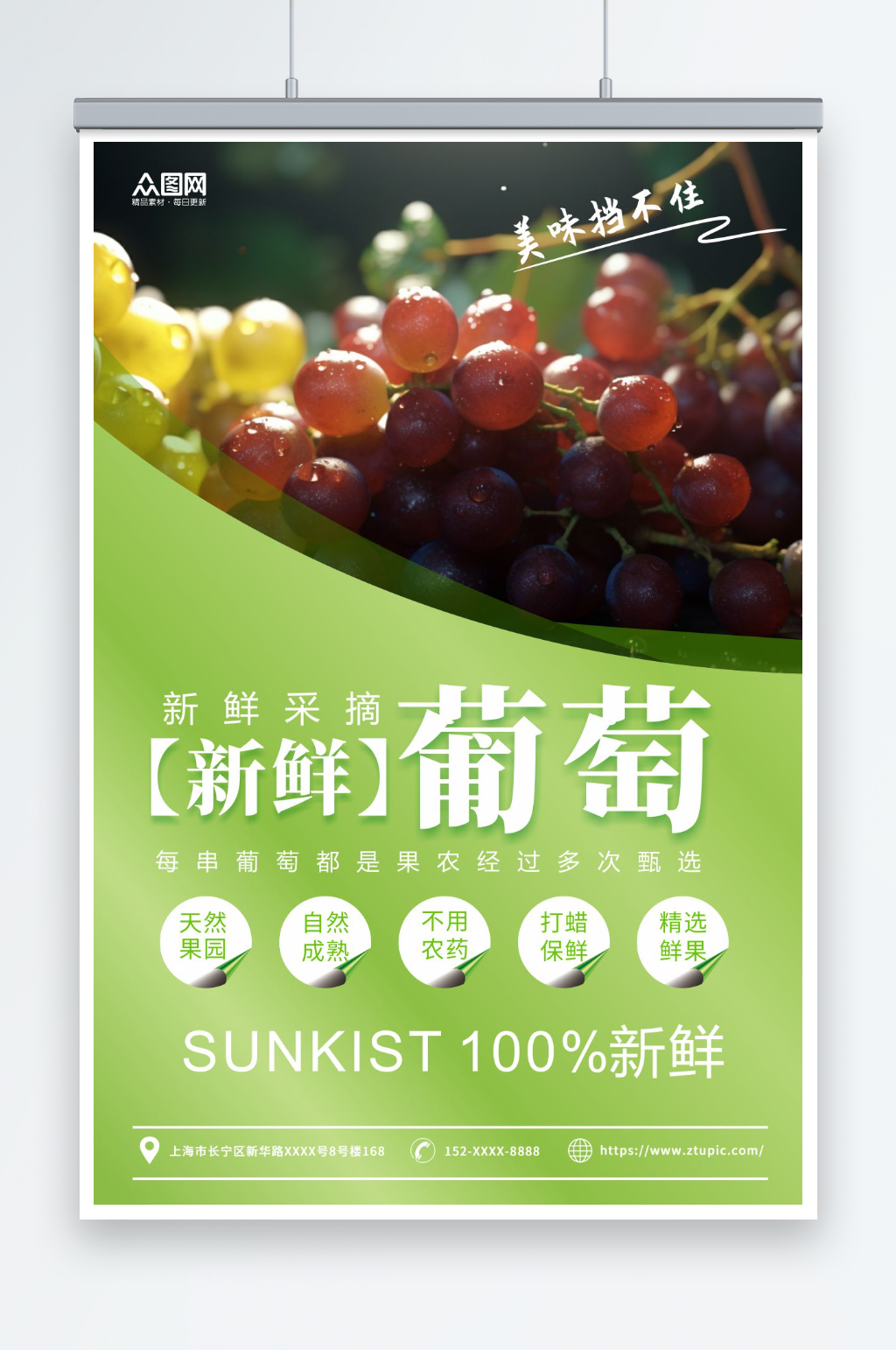 新鲜葡萄青提水果宣传海报素材