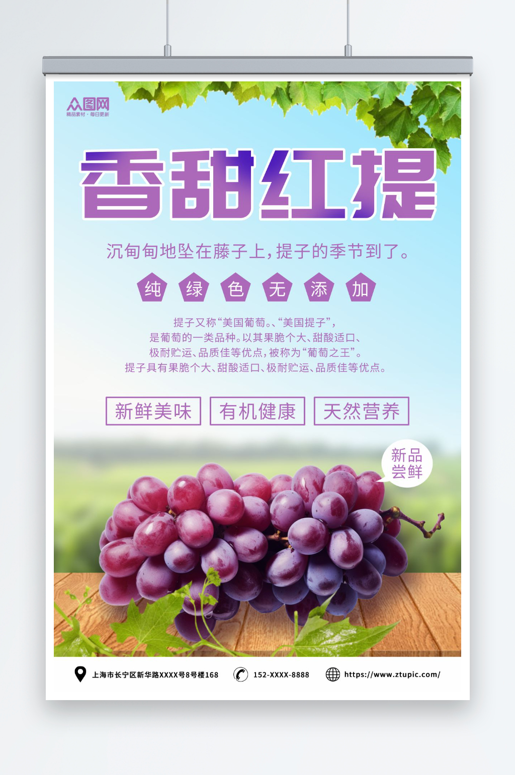 葡萄青提水果宣传海报素材