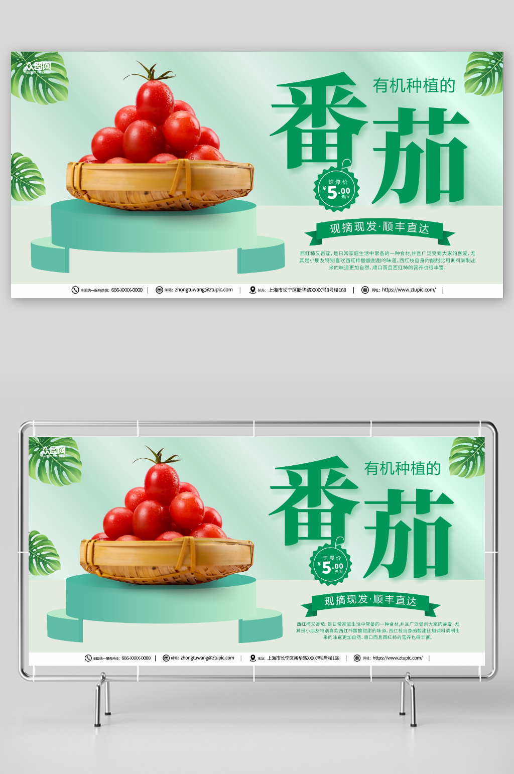 有机番茄西红柿蔬果展板素材
