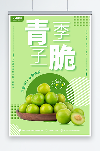 西梅李子夏季水果果园促销海报