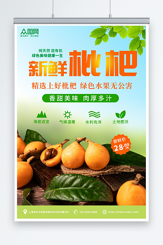 新鲜枇杷夏季水果果园促销海报